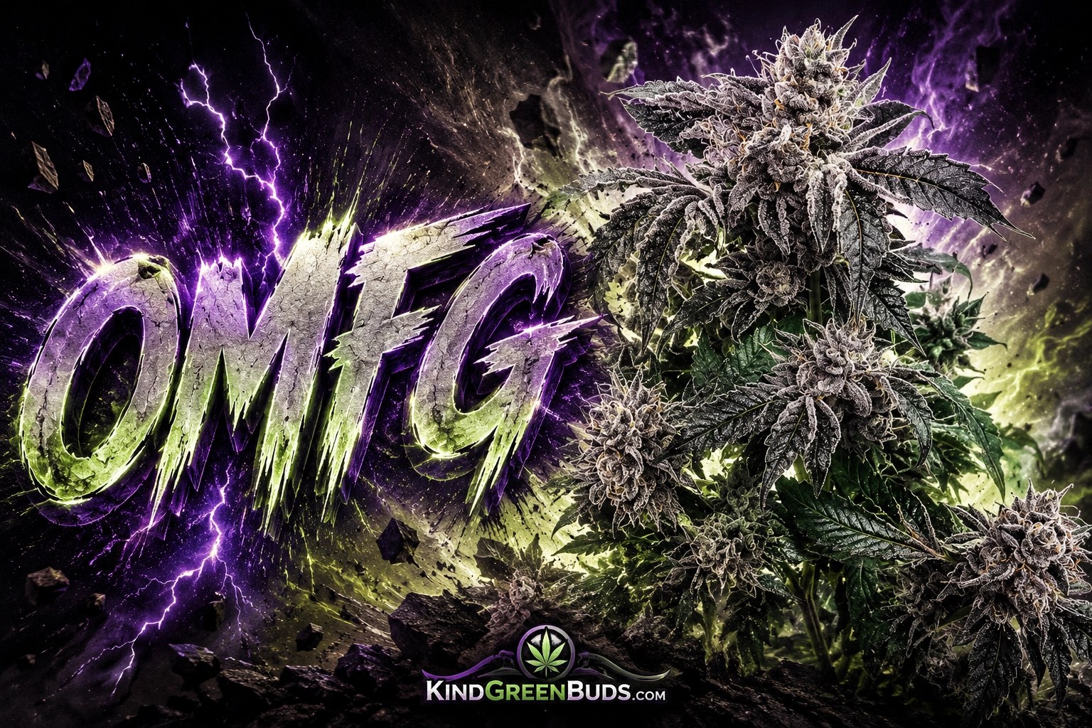 OMFG marijuana strain