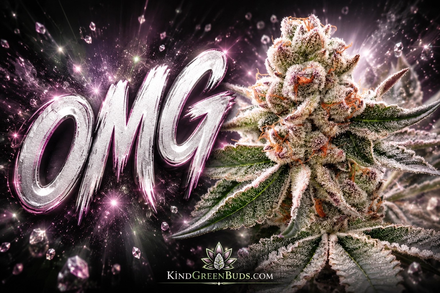 OMG marijuana strain