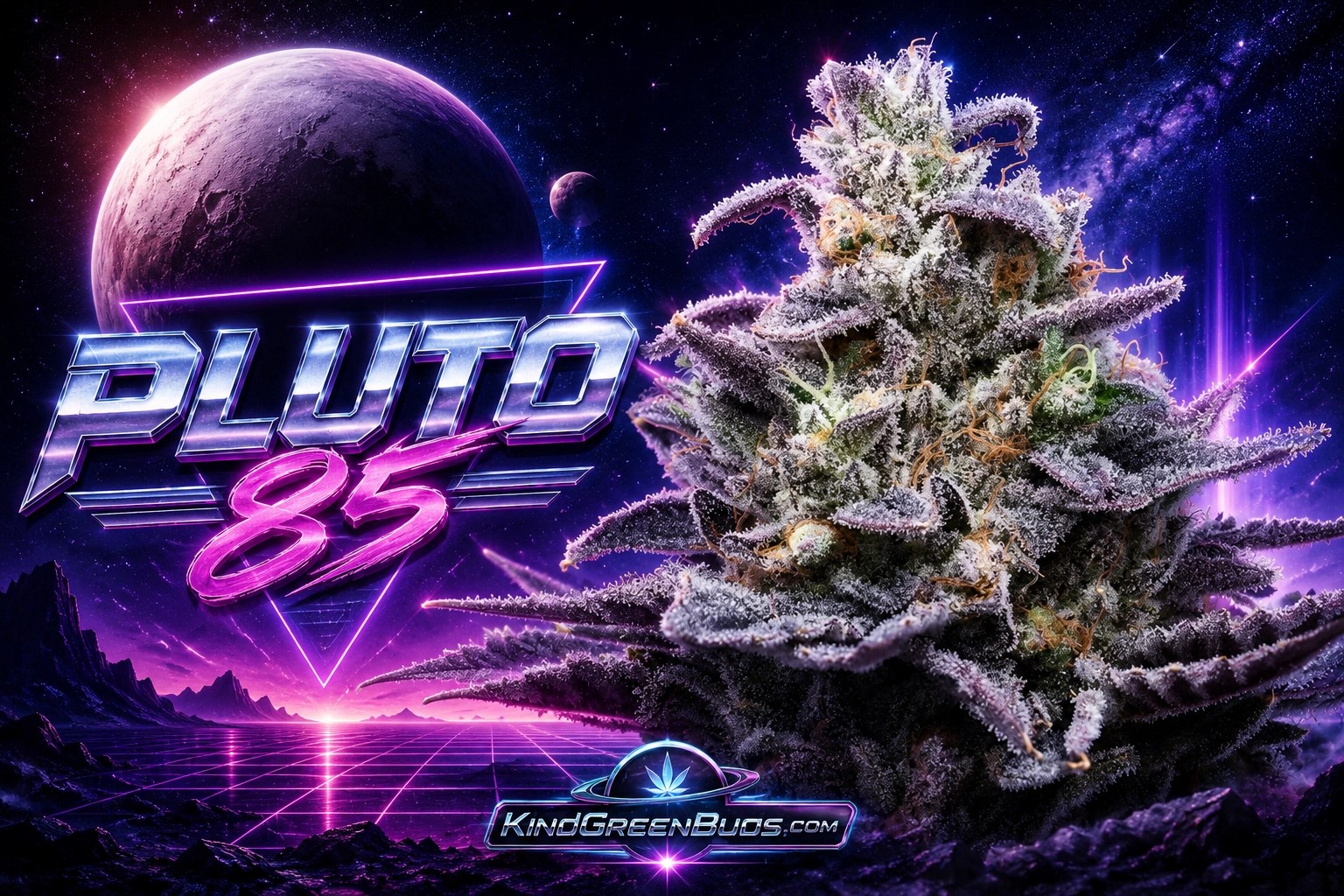 Pluto 85 marijuana strain