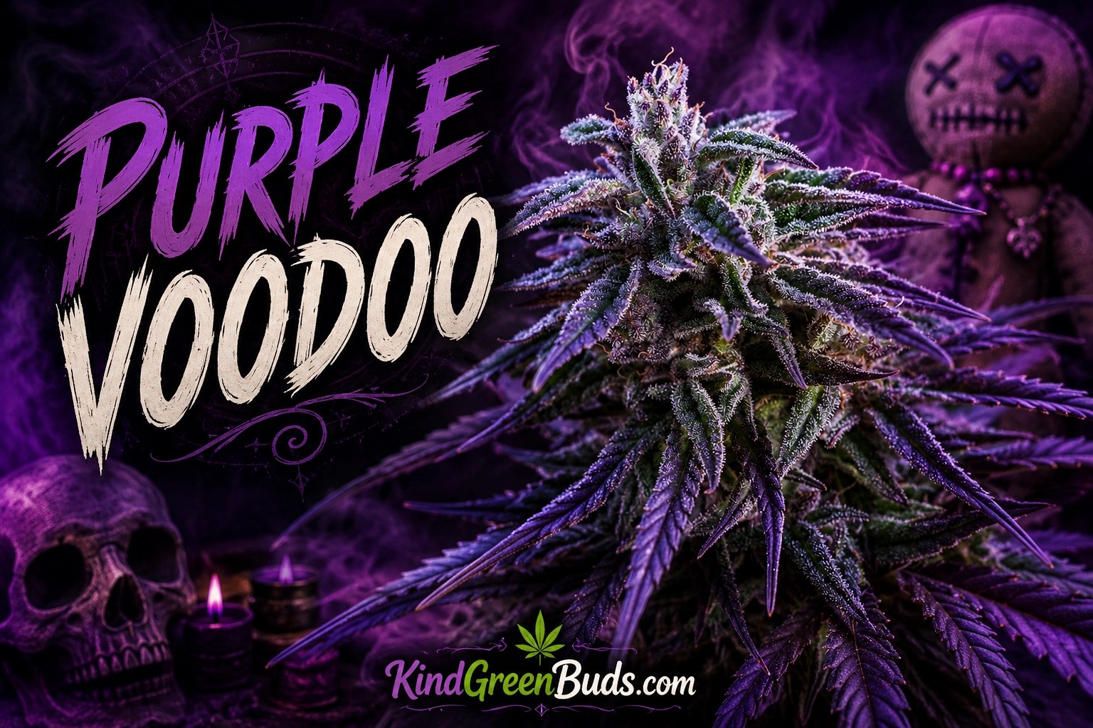 Purple Voodoo marijuana strain