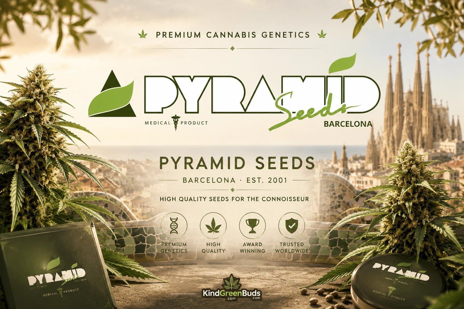 Pyramid Seeds