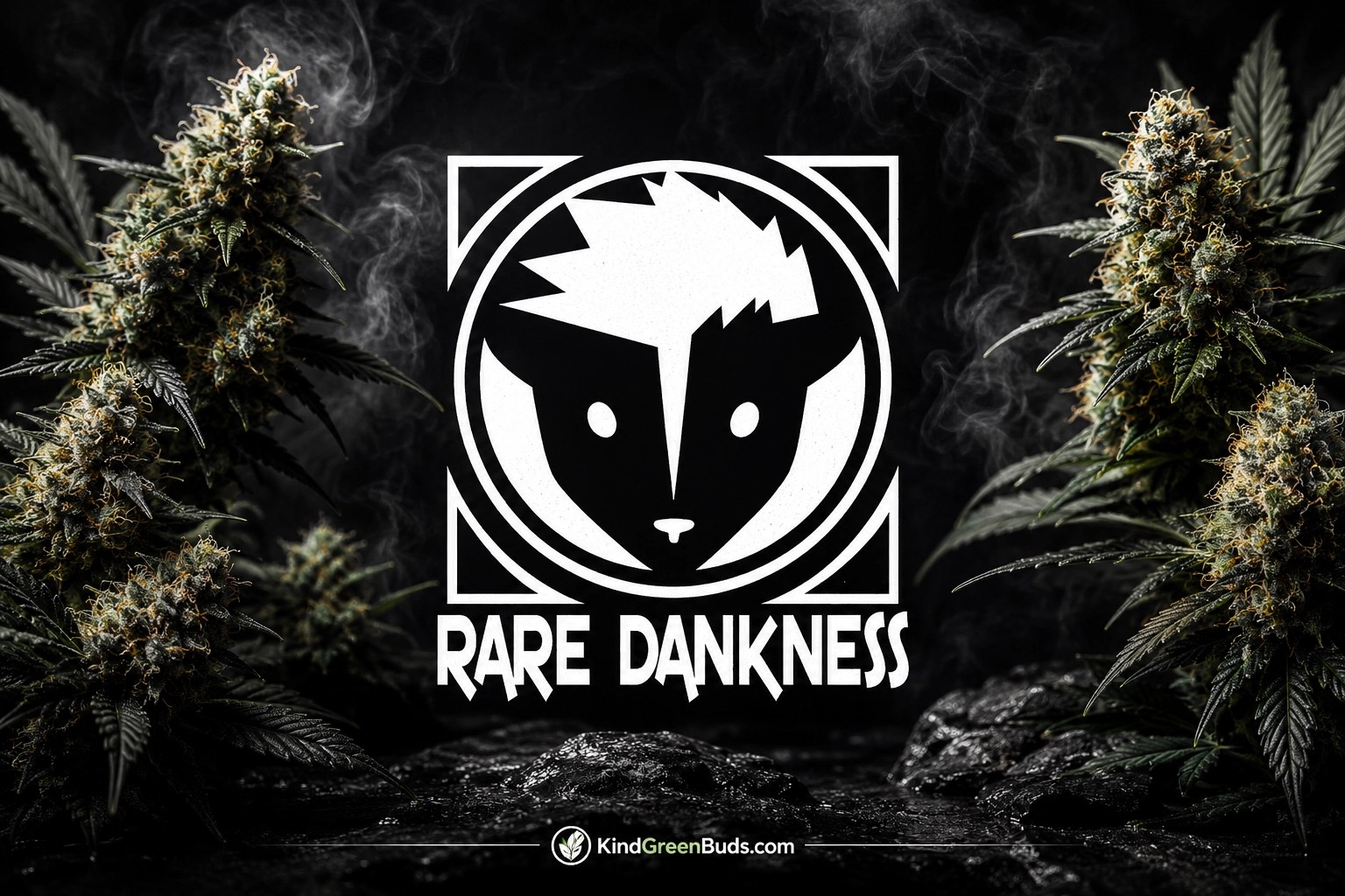 Rare Dankness Seeds
