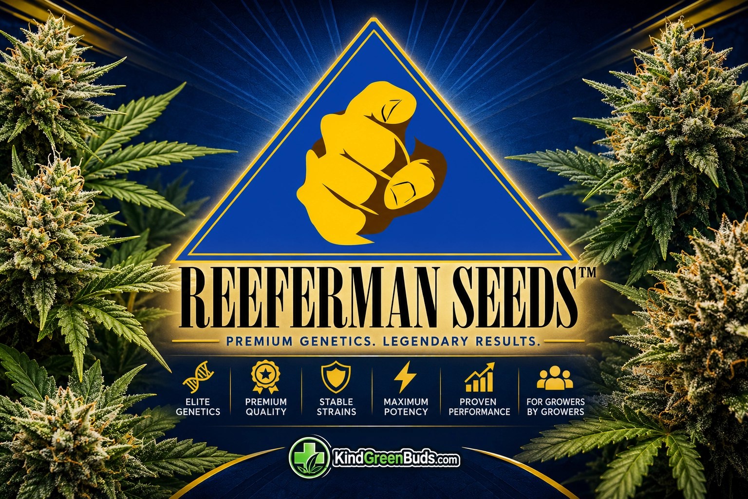 Reeferman Seeds