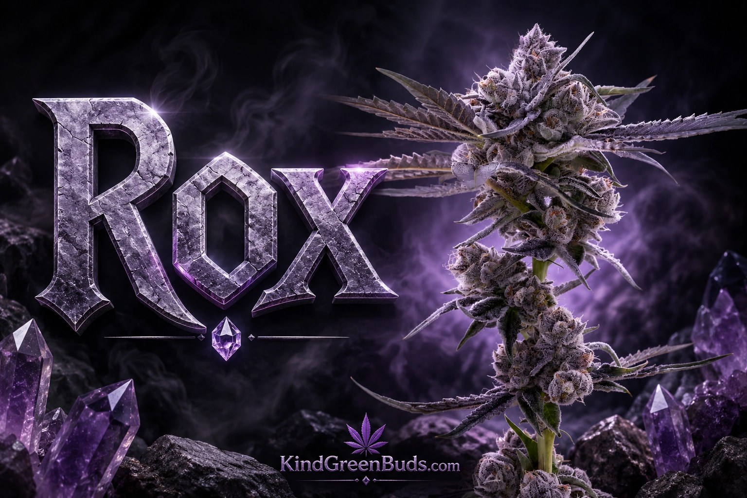Rox marijuana strain