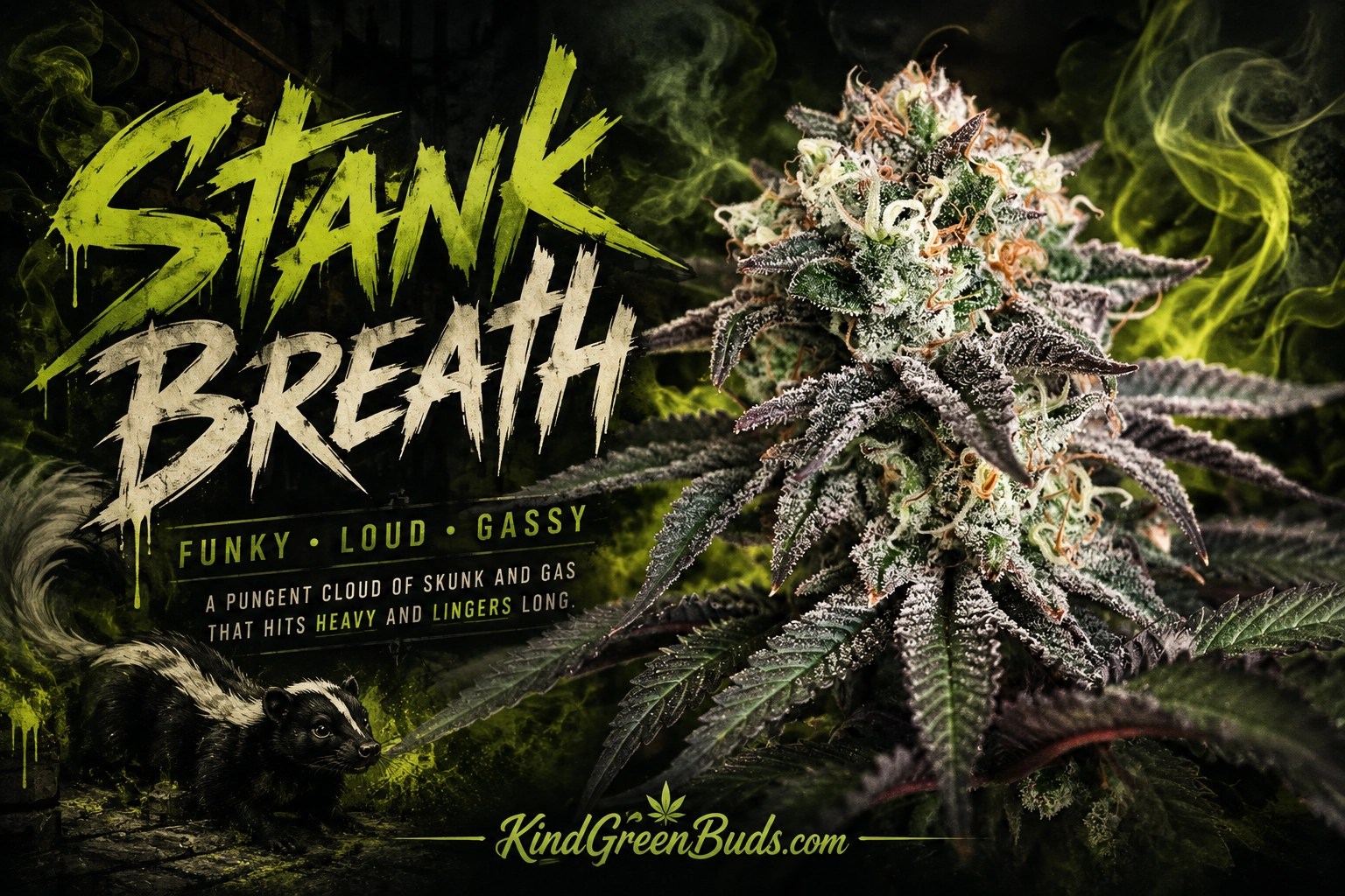 Stank Breath marijuana strain