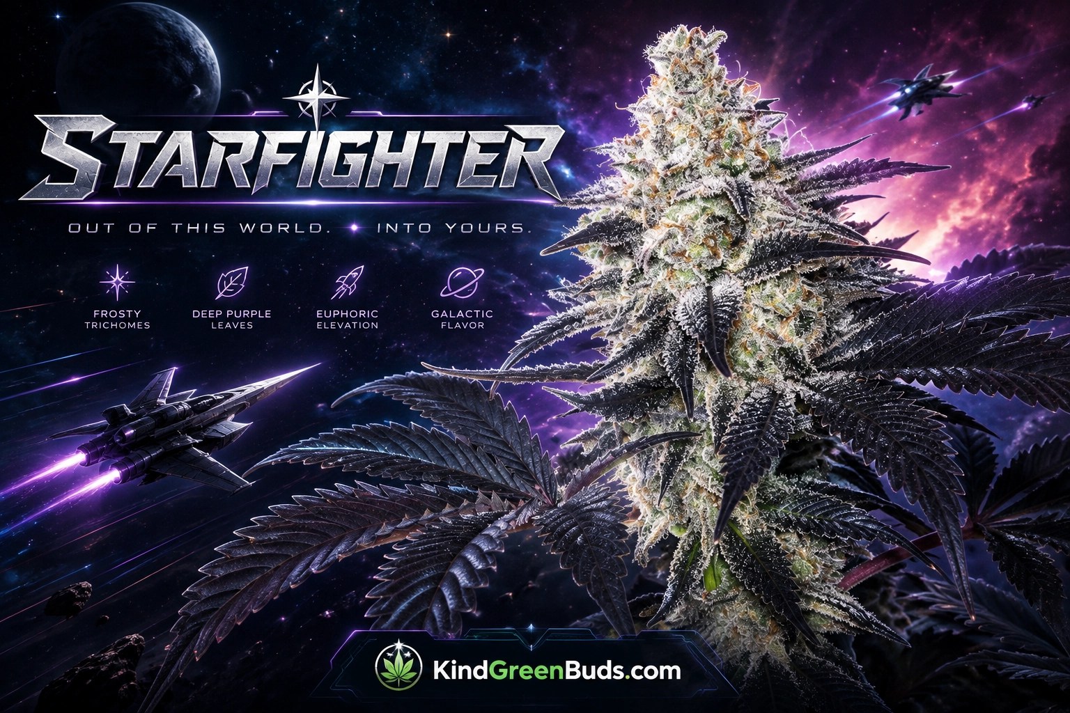 Starfighter marijuana strain