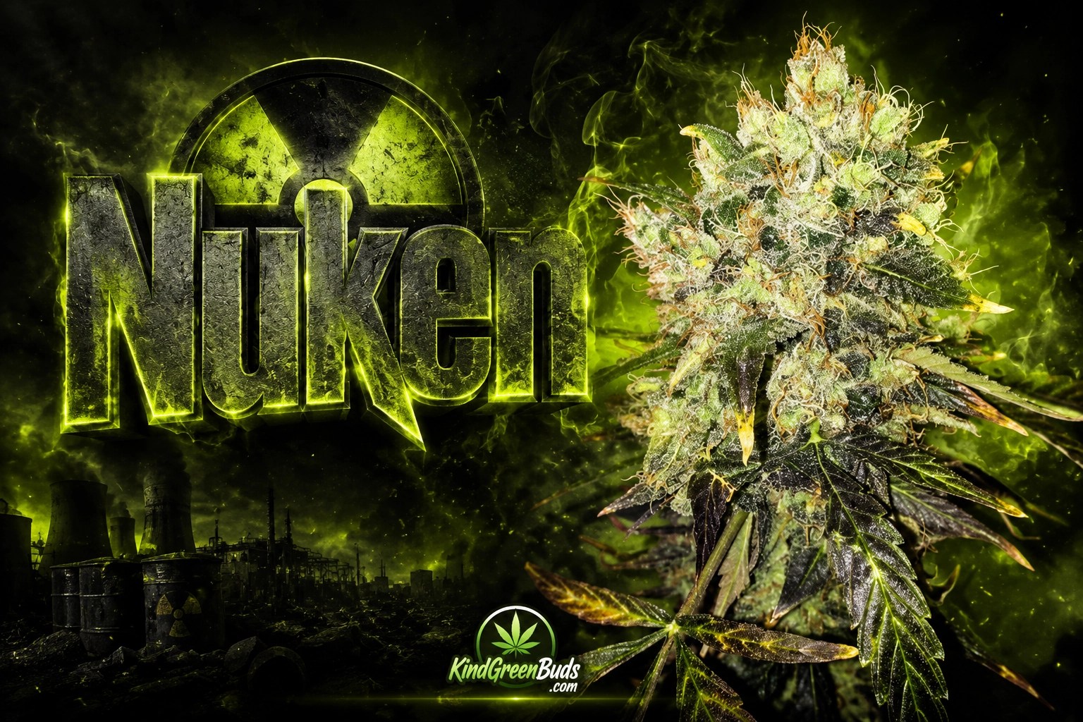 Nuken marijuana strain