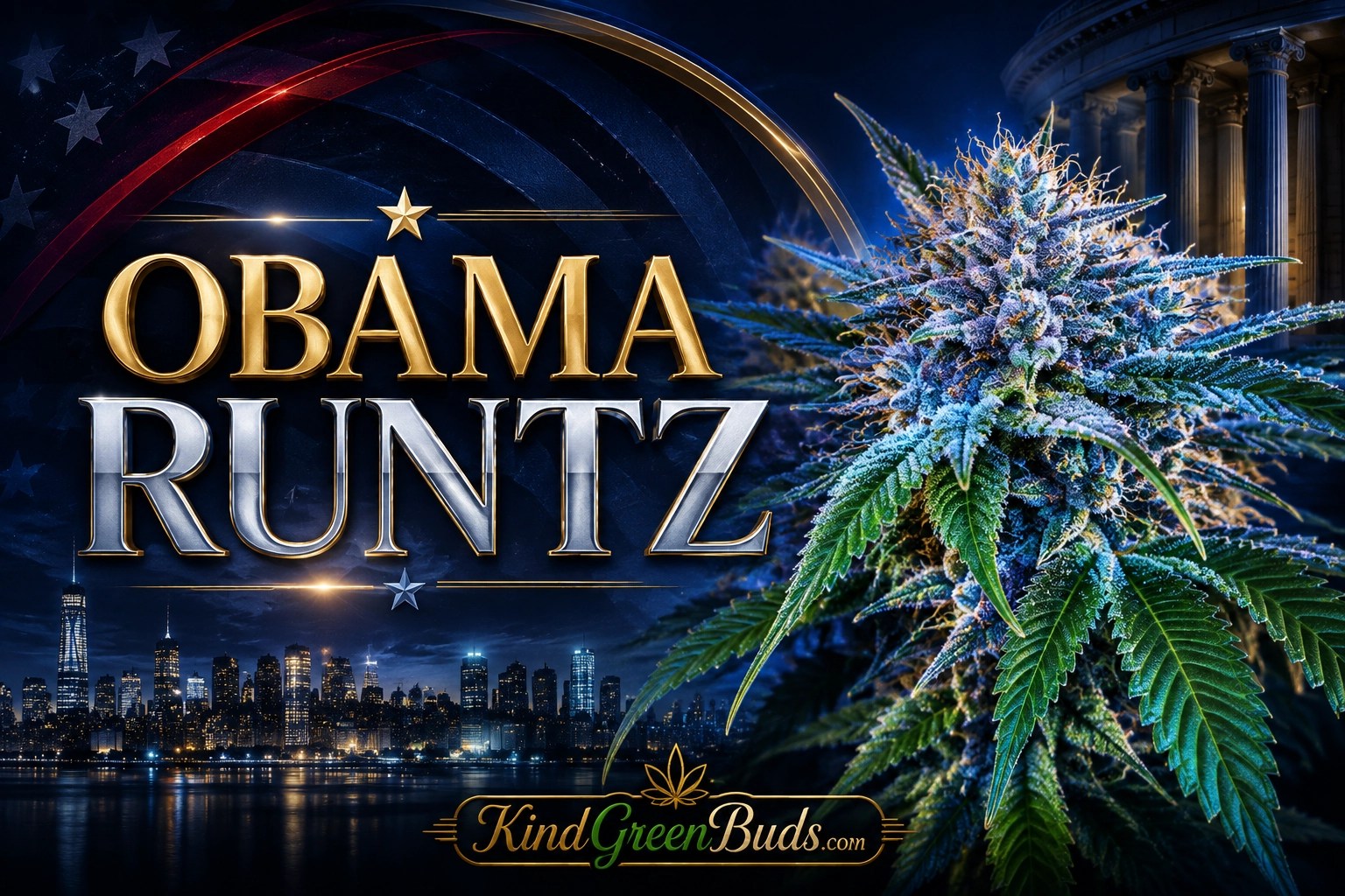 Obama Runtz marijuana strain