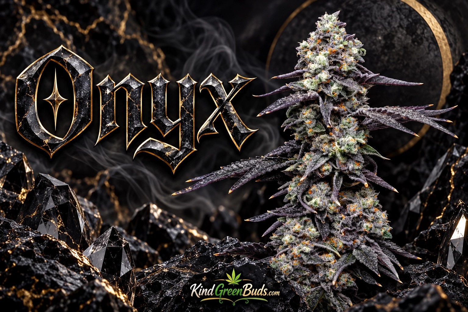 Onyx marijuana strain