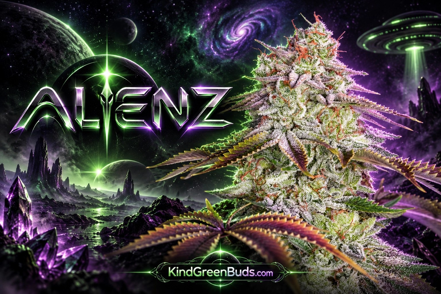 Alienz marijuana strain