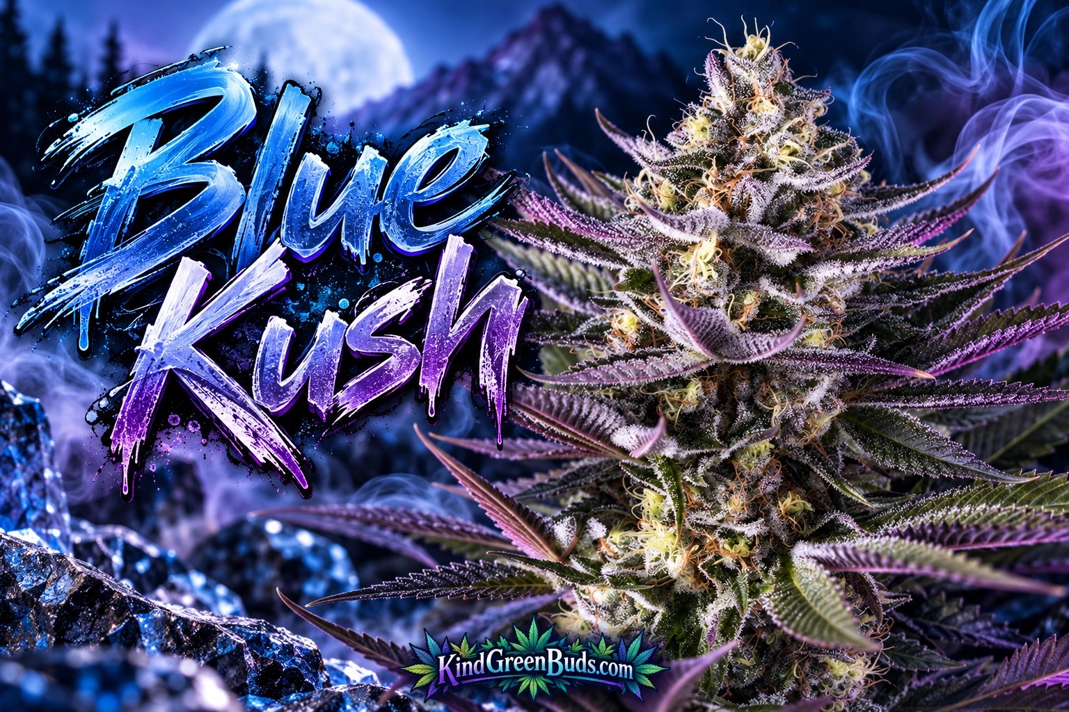 Blue Kush marijuana strain