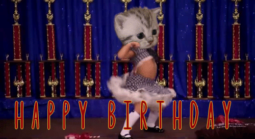 Happy Birthday Gif Funny Bday Animated Meme Gifs