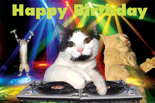 Happy Birthday Gif Funny Bday Animated Meme Gifs