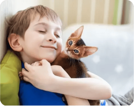 aba child hugging animal