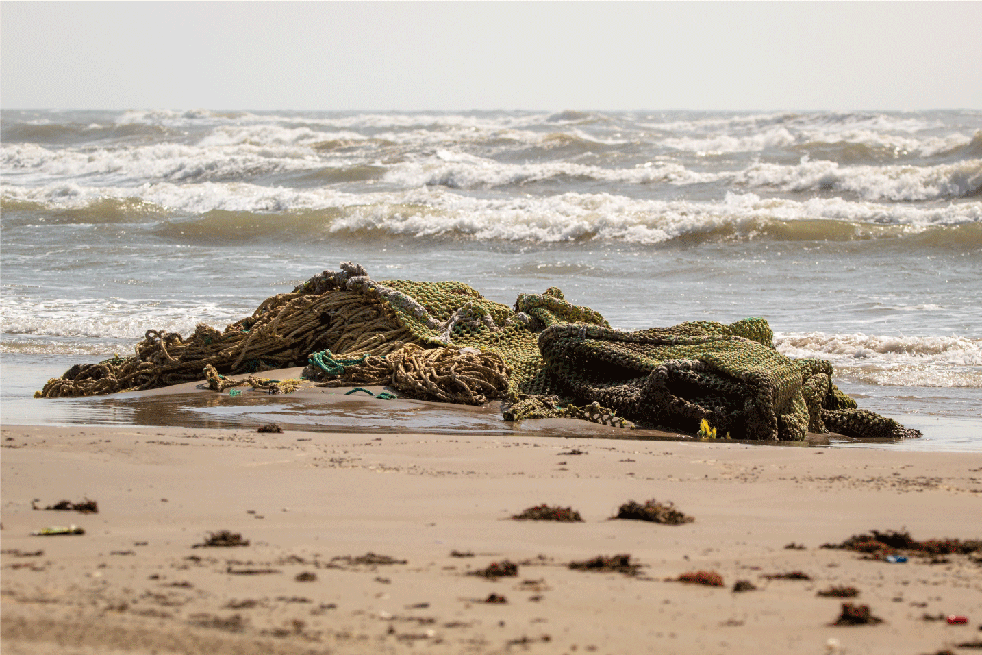 beachnet websize