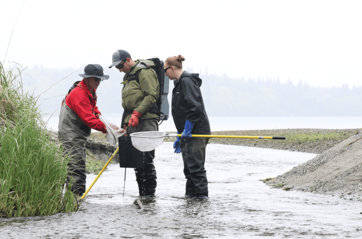 Biologists conduct a field study in a stream