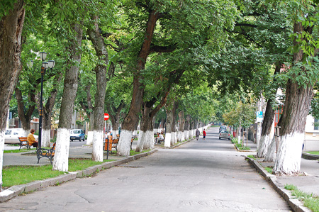 8 Beautiful White Christmas Trees For 2018 Pre Lit White Christmas Trees