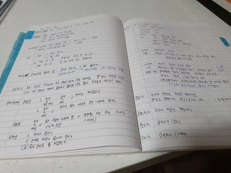 Habitify 문학의 미적 범주, 관점, 비평