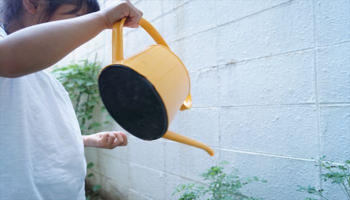小学生 夏休みのお手伝い 困ったモンだ を解決 始め方から続けるコツ きになるきにする