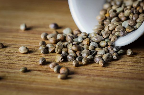 Cannabis Seeds Kinnabis Seed Bank USA