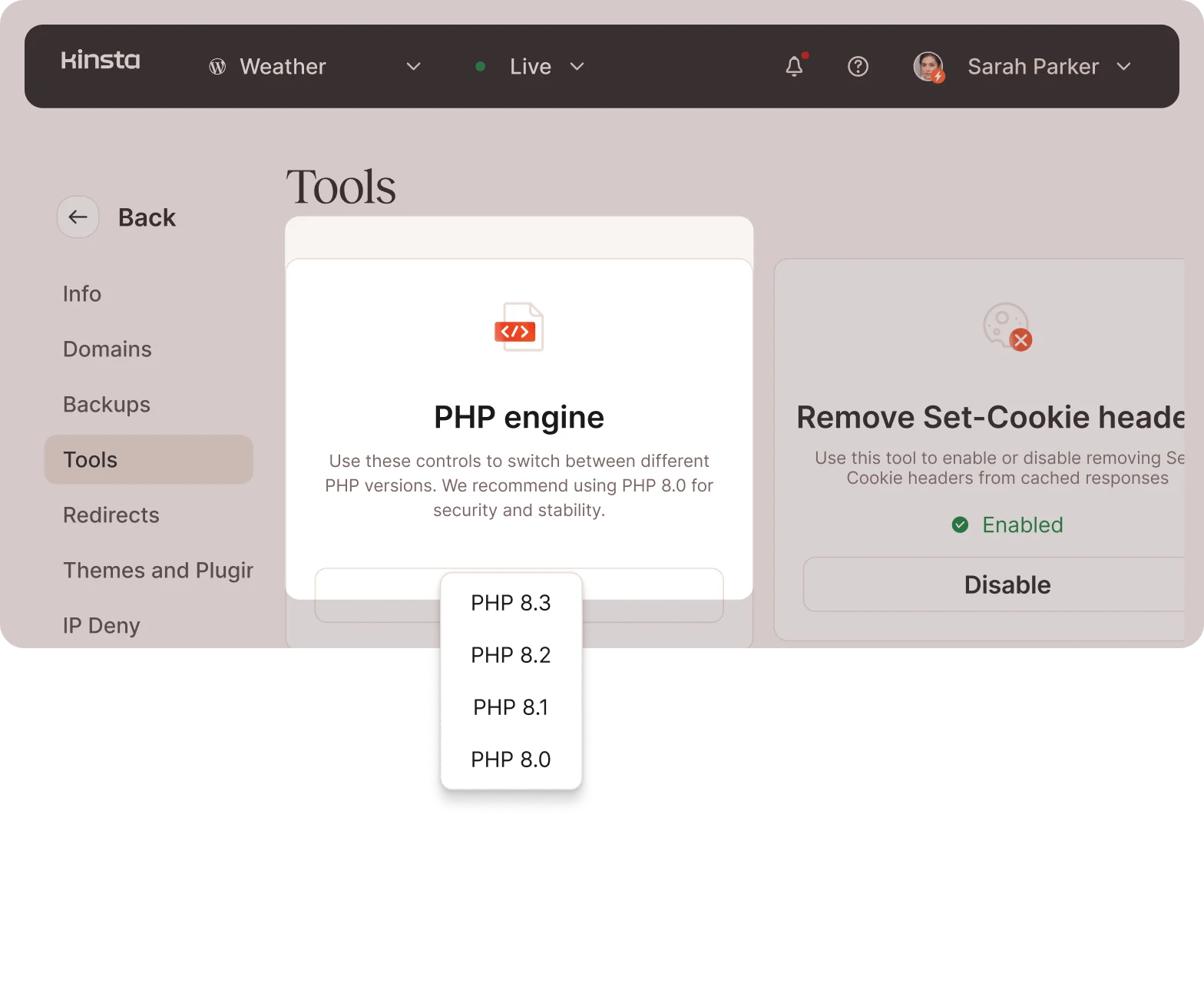 Kinsta® - Fast, Secure, Feature-rich Hosting For WordPress