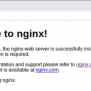 How To Install Nginx On Windows, MacOS, And Linux - Kinsta®