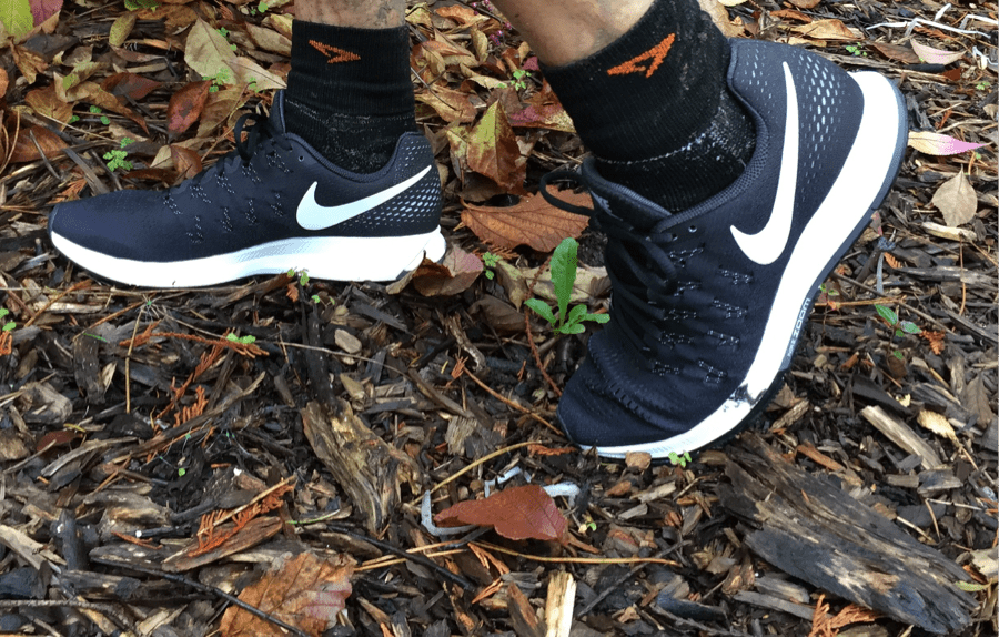 Nike Pegasus 33 Shoe Review
