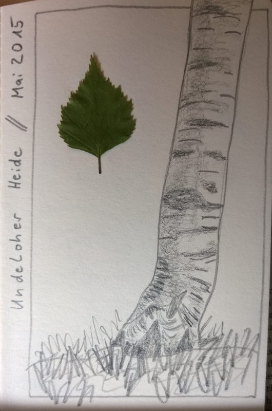 Baume Zeichnen Und Malen Ebook Stankewitz Martin Amazon De Kindle Shop