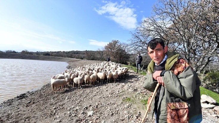 İçme suyu göletleri geldi, hayvancılık yeniden canlandı - KiraHaber