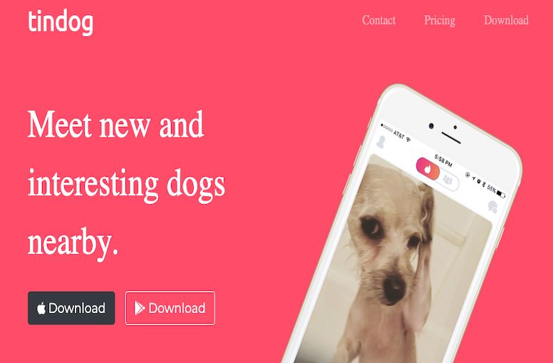 Github Apoorvaappu12 Tindogproject - Abstract Designs - Creative High Resolution Collection