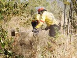 Basic Wildland Firefighting Kishugu Training