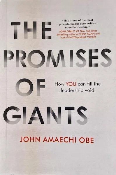The Promises of Giants: How YOU can Fill the Leadership Void