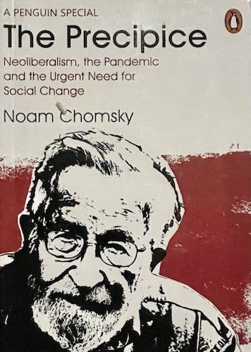The Precipice: Neoliberalism, the Pandemic and the Urgent Need for Radical Change (PREMIUM EDITION)