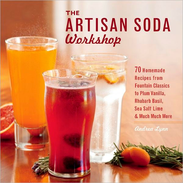 pics How To Make Your Own Soda At Home make your own artisan soda kitchen report