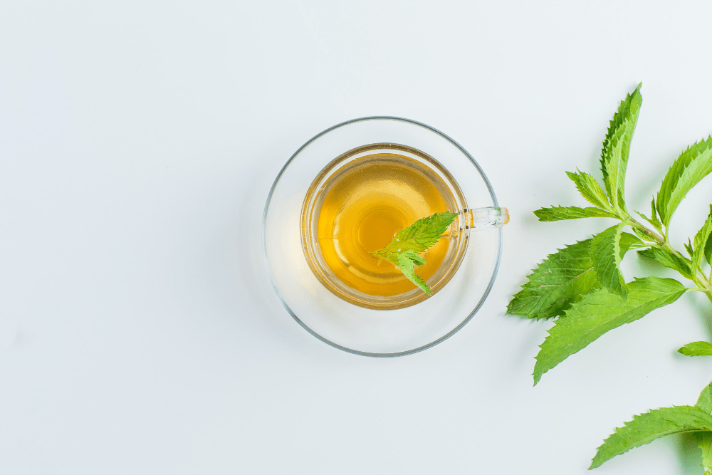 How To Make Homemade Mint Tea? 10 Delicious Mint Tea Recipes You Should Try