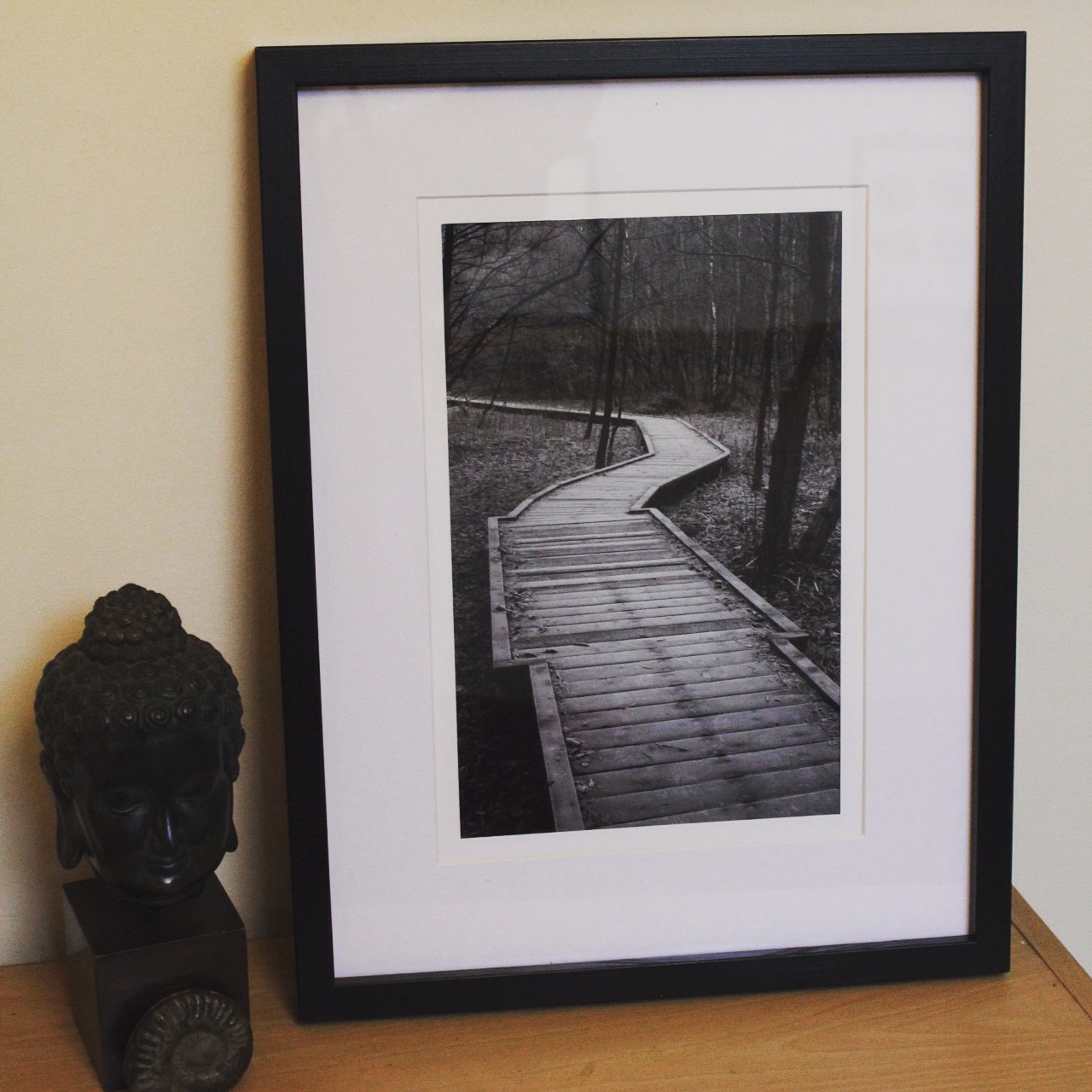 Lonely_Path_IMG_3751