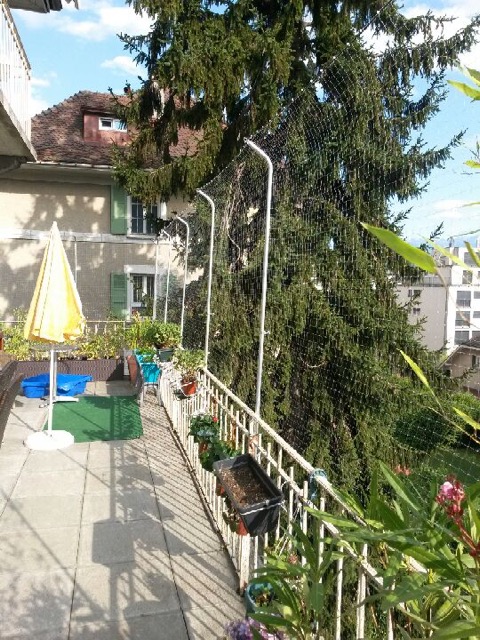 Filet à chat pour terrasse