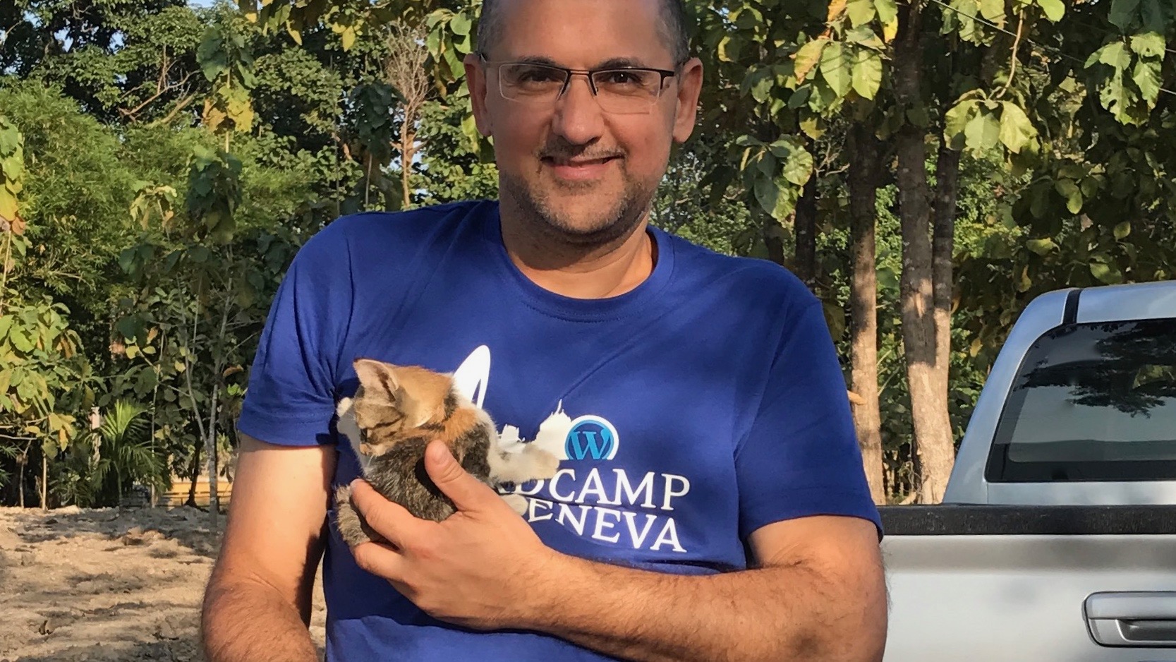 Chaton craintif trouvé au bord de la route