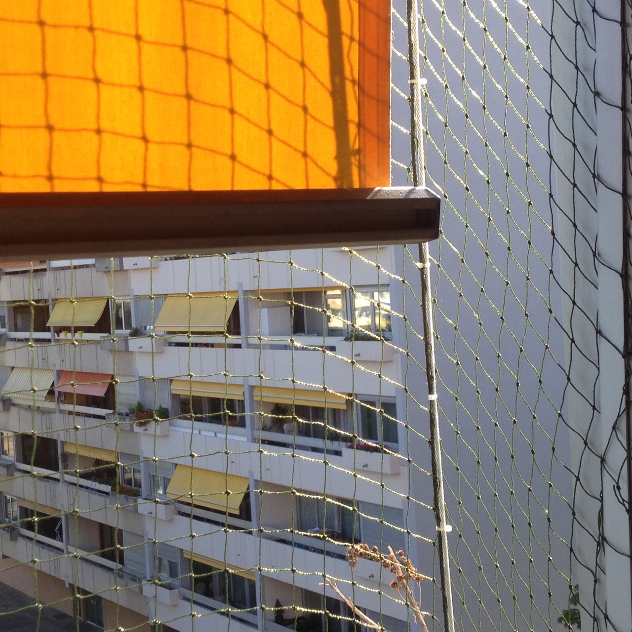 Filet à chat renforcé par fil d'acier