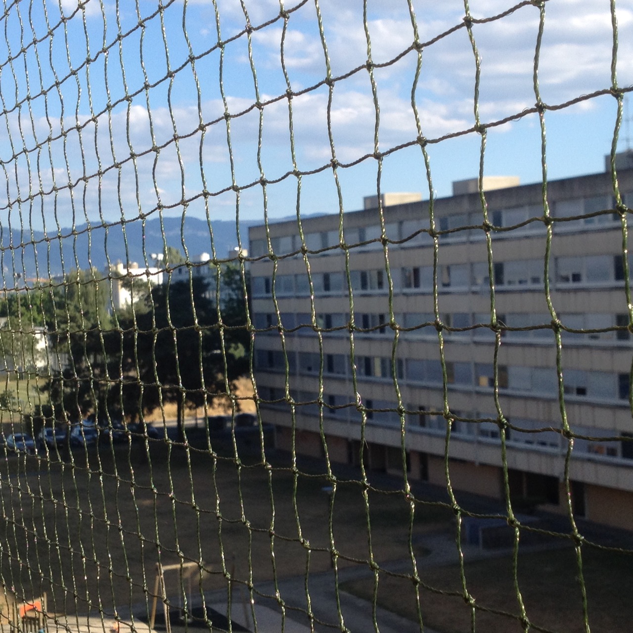 La sécurité chats nous tient à coeur