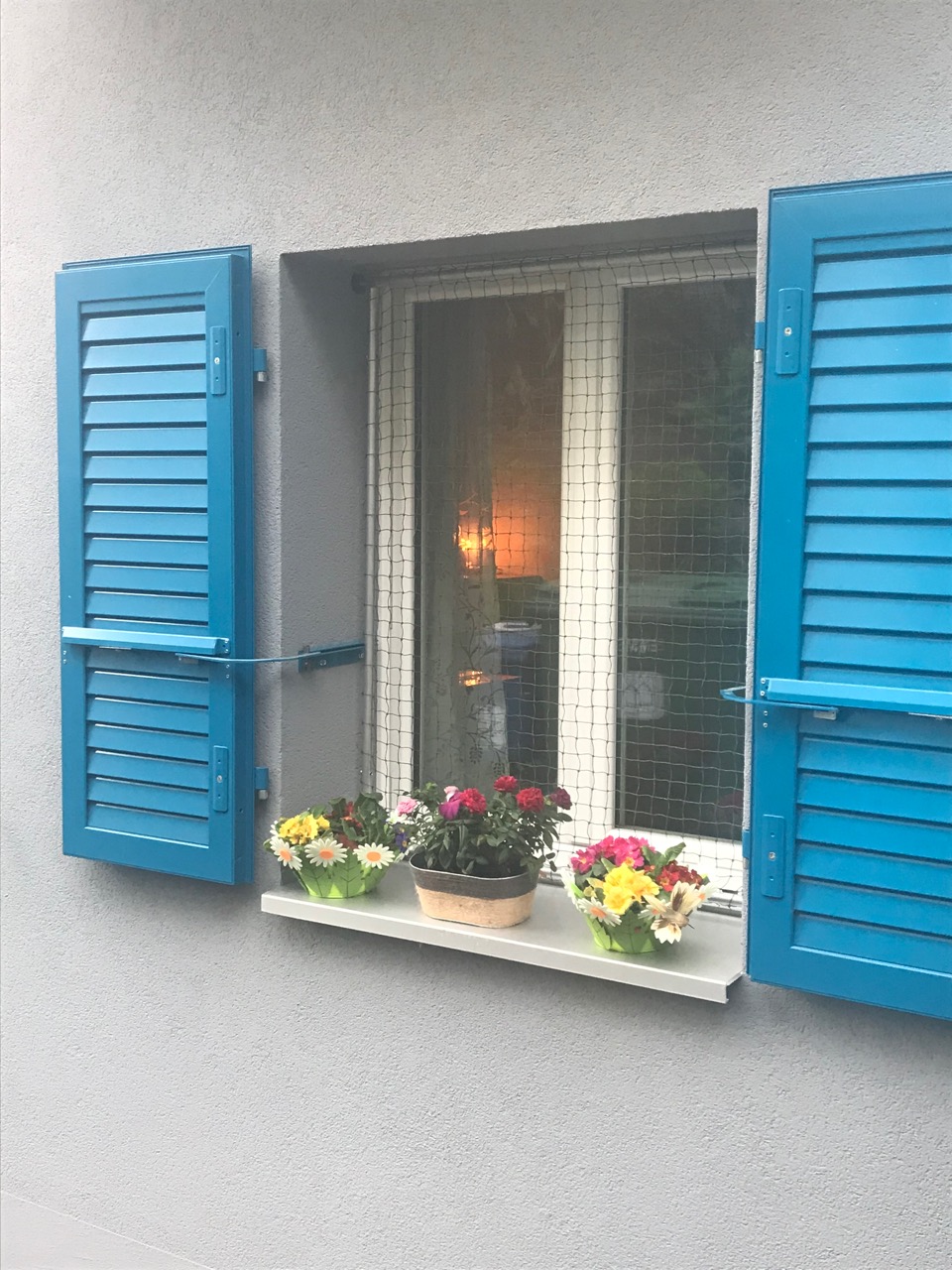 ProtectionChatCadre - 1