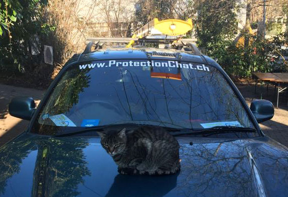 Minouche recommande ProtectionChat.ch