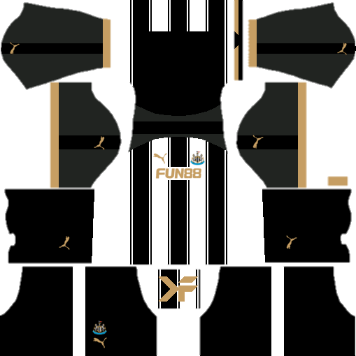 newcastle logo dream league soccer 2019