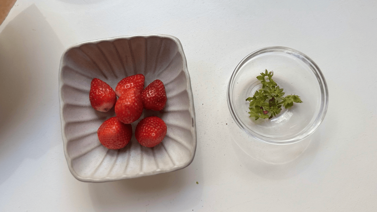 strawberry stem out for matcha mochi