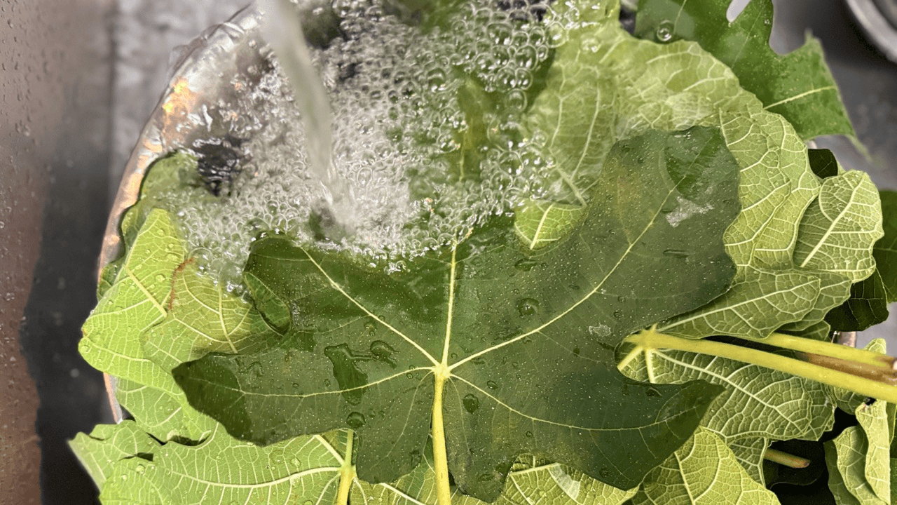 wash the leaves