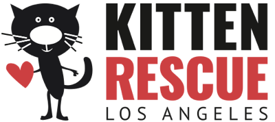 Kitten Care Basics Kitten Rescue