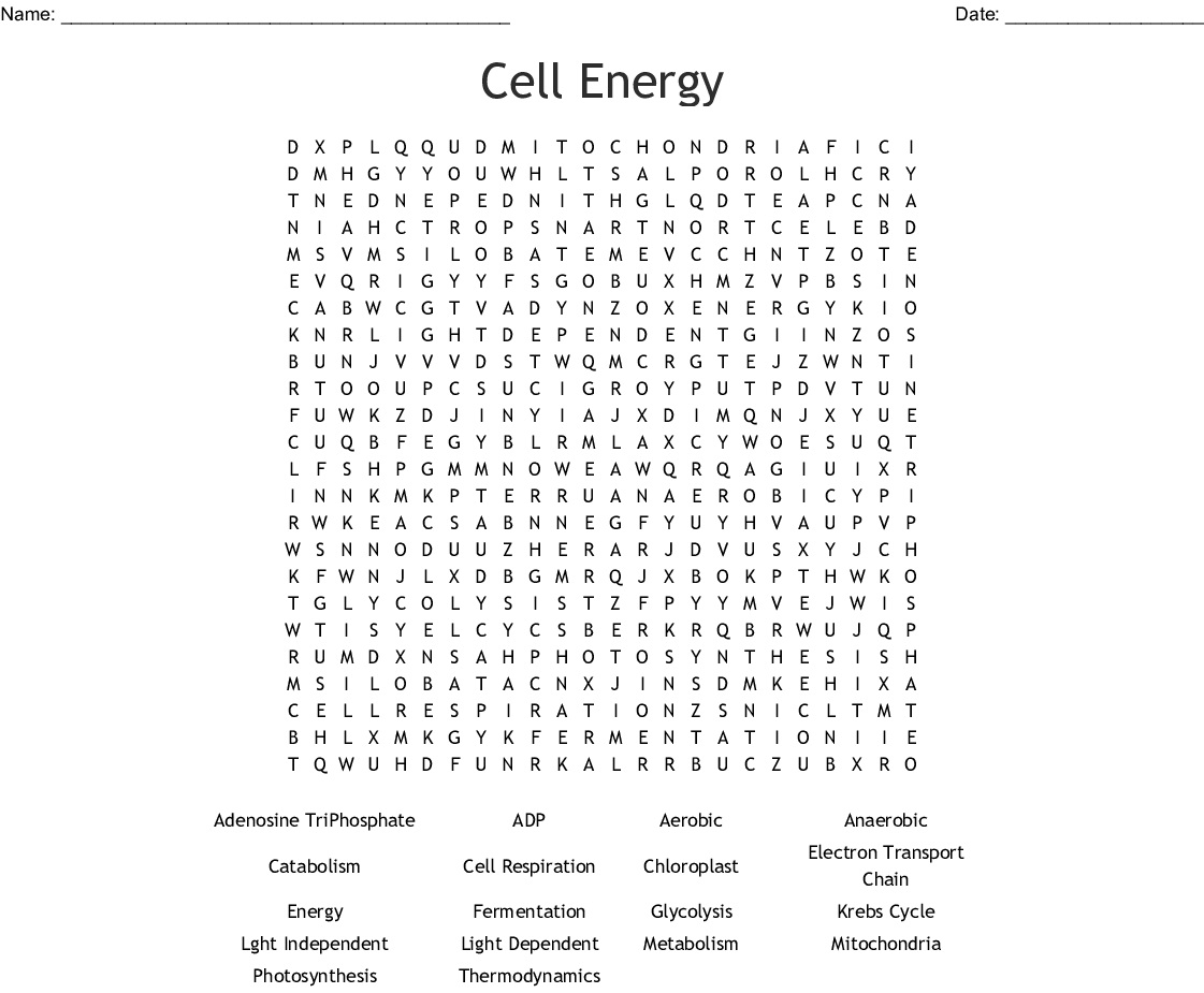These word searches for kids are all free for you to print and hand over to your kids or students. 12 Interesting Cell Word Search Puzzles Kitty Baby Love