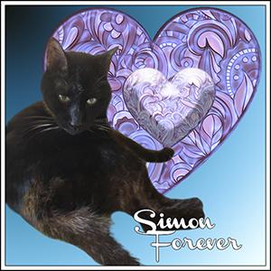simon