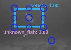 Annotation Window Dive - Best Colorful Patterns in Desktop