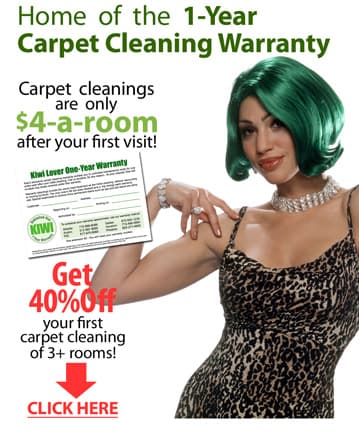 Our trained technicians provide services for carpets and upholstery, including cleaning, water damage, flooding, commercial cleaning, carpet . Carpet Cleaning Taylor Tx Kiwi Kiwi Cleaning Services